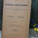 Über 100 Jahre altes Buchführungsbuch ~ 1909 / 1910 ~ gebundene Ausgabe ~ handgeschrieben ~ Vintage Deko ~ hx3234b1