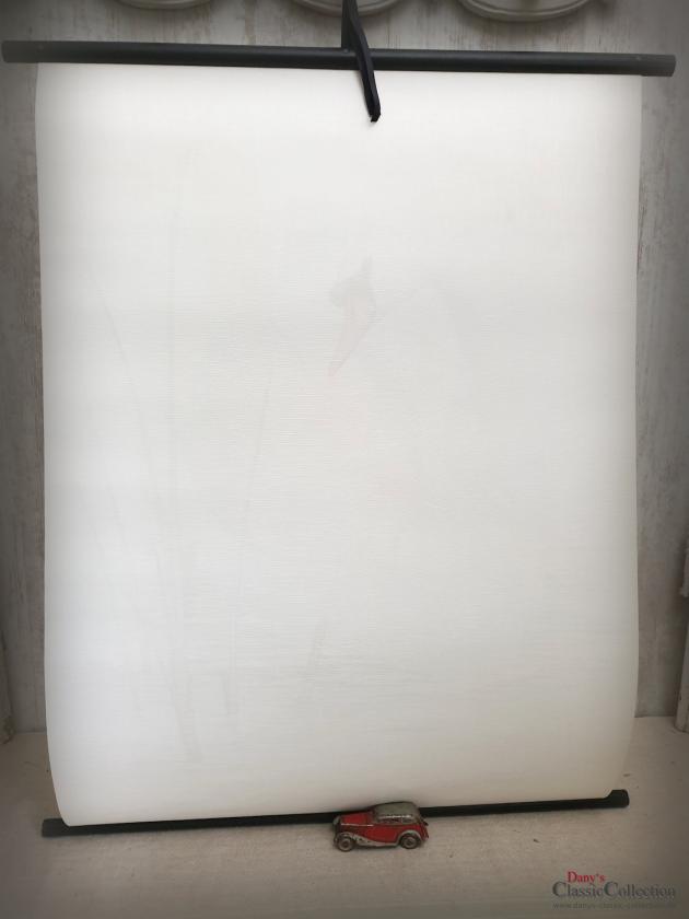 RESERVIERT f. A.!  Tolle Lehrkarte SCHWAN ~ Schulkarte ~ Wandkarte ~ Rollkarte ~ Midcentury ~ Lehrtafel ~ Wanddeko ~ Shabby Home Dekor ~ hy5494