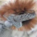 Porzellankopf auf Clip mit Pelzkragen ~ Mädchen mit Haube ~ Biskuitporzellan ~ Seltener deutscher Christbaumschmuck ~ hw3785
