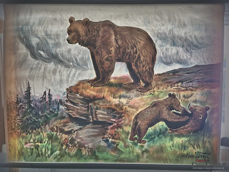 Alte Schulwandkarte Bär Grizzly Schweden Rollkarte Schulkarte Wandkarte Lehrkarte Wanddeko