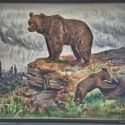 Alte Schulwandkarte Bär Grizzly Schweden Rollkarte Schulkarte Wandkarte Lehrkarte Wanddeko