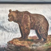 Alte Schulwandkarte Bär Grizzly Schweden Rollkarte Schulkarte Wandkarte Lehrkarte Wanddeko