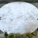 Porzellan-Schild