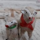 PAAR uralter Krippenschafe ~ Erzgebirge Krippenfigur ~ Schaf ~ Masseschaf ~ Wollschaft ~ Putz ~ Sammlerstücke ~ Shabby Deko