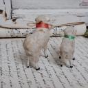 PAAR uralter Krippenschafe ~ Erzgebirge Krippenfigur ~ Schaf ~ Masseschaf ~ Wollschaft ~ Putz ~ Sammlerstücke ~ Shabby Deko